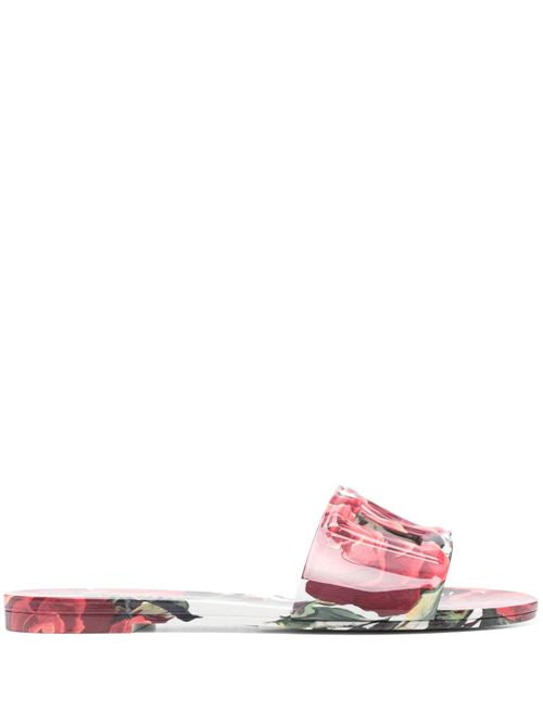 DG PRINTED SLIDES